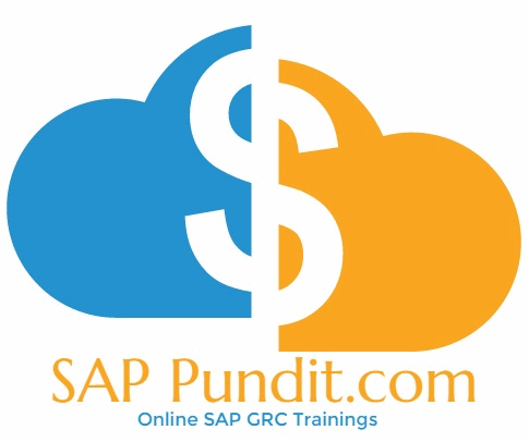 SAP Pundit.com